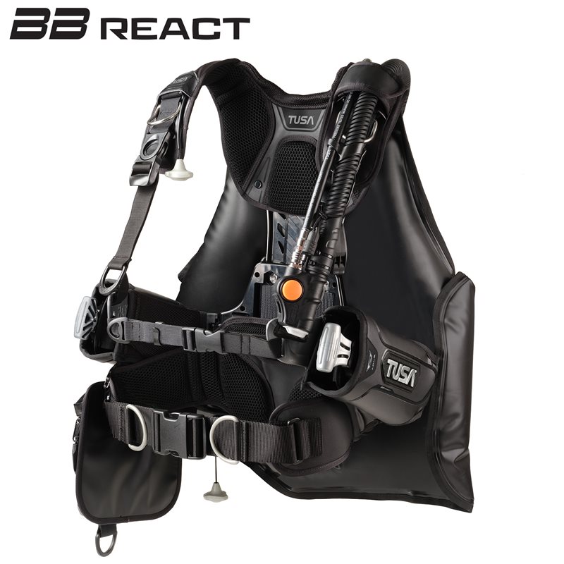 BC-0203 BB React