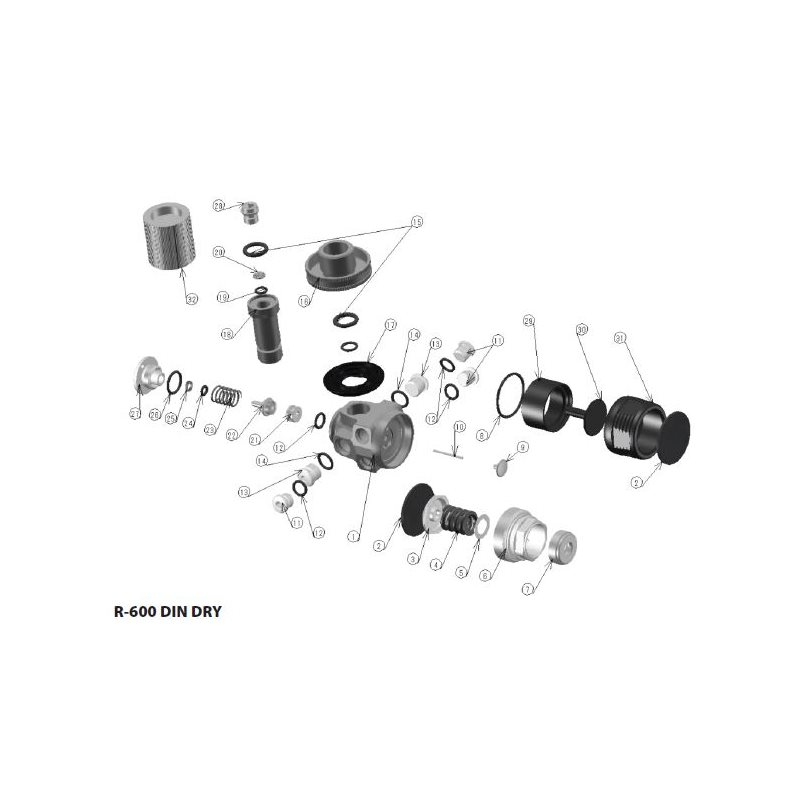 R-600 DIN Dry 1st Stage